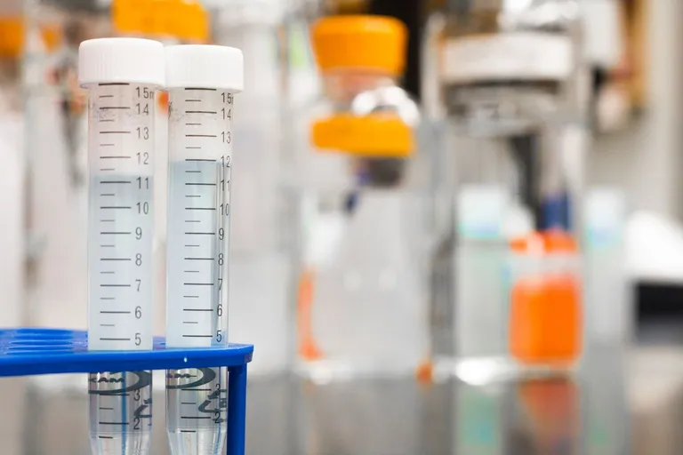 Forth vs Thriva: Which UK Blood Test Provider Should You Choose?